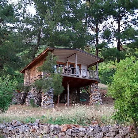 Yenice Vadi Dogal Yasam Koyu Hotel